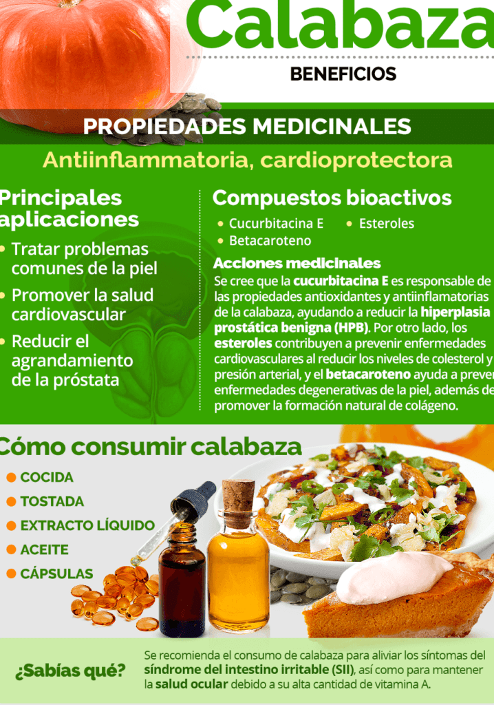 Descubre el Nombre Científico de la Hoja de Aguacate Propiedades y Usos ︎