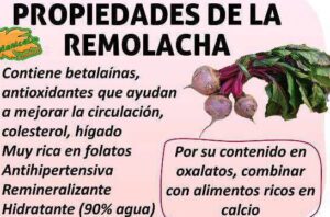Remolacha blanca: propiedades, beneficios y usos ︎